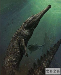 ​普鲁斯鳄堪称百年来最大巨型鳄鱼，环境变化导致灭亡