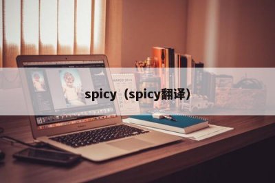 ​spicy（spicy翻译）