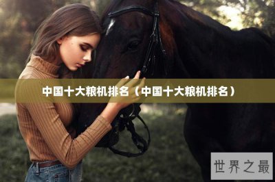 ​中国十大粮机排名（中国十大粮机排名）