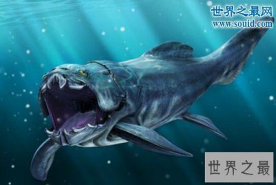 ​史前最大的海洋猎食者，邓氏鱼(一口KO掉鲨鱼)