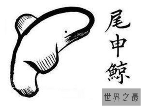网络十大神兽分别是哪些 除了草泥马竟然还有这么多