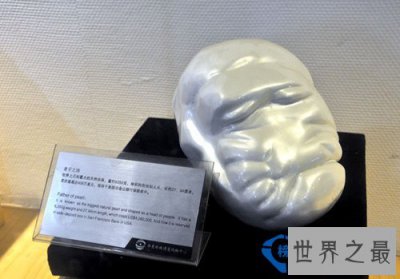 ​世界上最大的天然珍珠：重达6350g