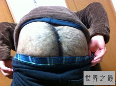 ​世界上最长的臂毛