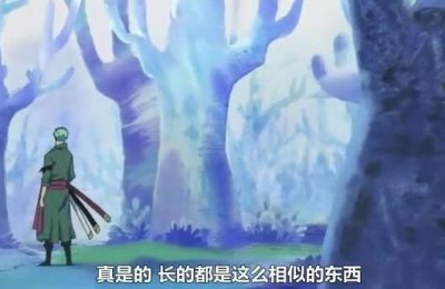 ​耕四郎曾是世界第一剑豪，将最强之剑传授给索隆，开启左眼全靠它
