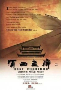 ​央视十大热门纪录片排名 如果国宝会说话上榜 河西走廊暂列第一