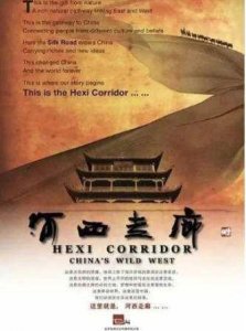 ​央视纪录片十大排行榜 河西走廊和如果国宝会说话上榜