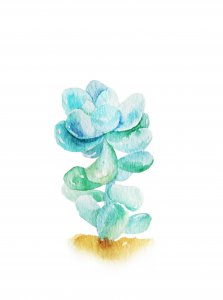​水彩手绘小清新明信片一波，喜欢的不要错过！
