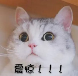 ​你家宝宝也会吐泡泡吗？？？