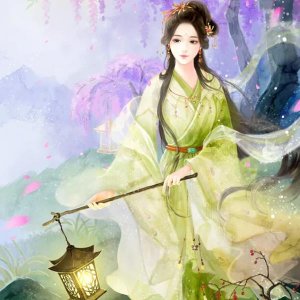 ​医妃文：她是21世纪外科医生，一朝穿越，成了王爷宠上天的王妃
