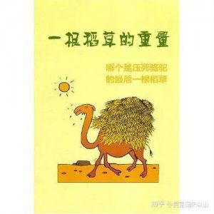 ​压死骆驼的最后一根稻草，到底有多重？