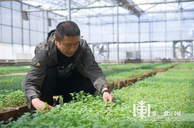 ​探访“中国马铃薯之乡”克山县