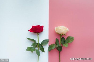 ​三毛英文语录英文版