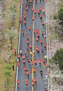 ​“花马”开跑 一路花香伴