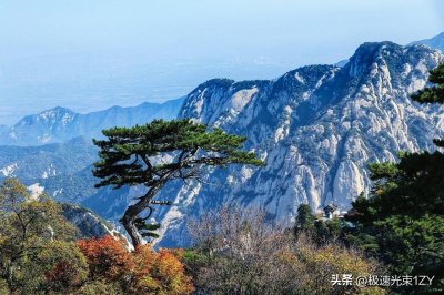 ​鬼谷子的高徒苏秦与张仪