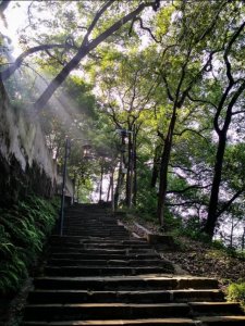 ​重庆老君洞