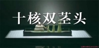 ​双茎头什么梗 “十核双茎头”事件与刘诗诗有何关系