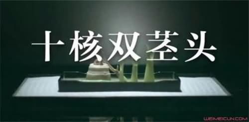 双茎头什么梗
