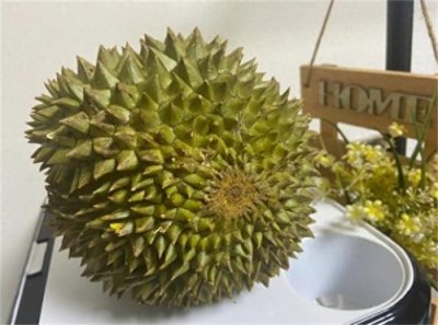 ​青妮王榴莲和金枕榴莲哪种贵(青尼榴莲为什么比金枕便宜)