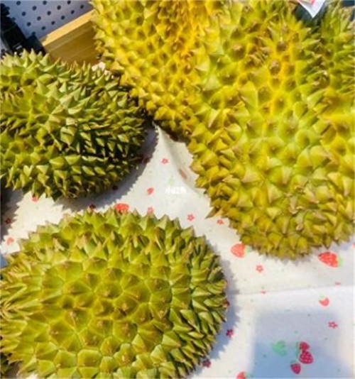 青妮王榴莲和金枕榴莲哪种贵(青尼榴莲为什么比金枕便宜)