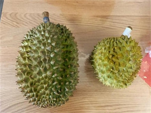 青妮王榴莲和金枕榴莲哪种贵(青尼榴莲为什么比金枕便宜)