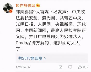 ​九大官媒齐发声，广电正式封杀！郑爽还能洗白吗？看看网友怎么说