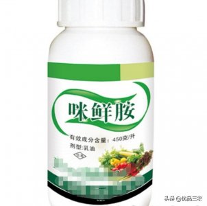 ​大家都懂咪鲜胺对炭疽病特效，有3点请注意，使用不当果实有异味