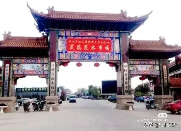 中国最大的花卉批发市场在哪里（国内10大花卉市场）