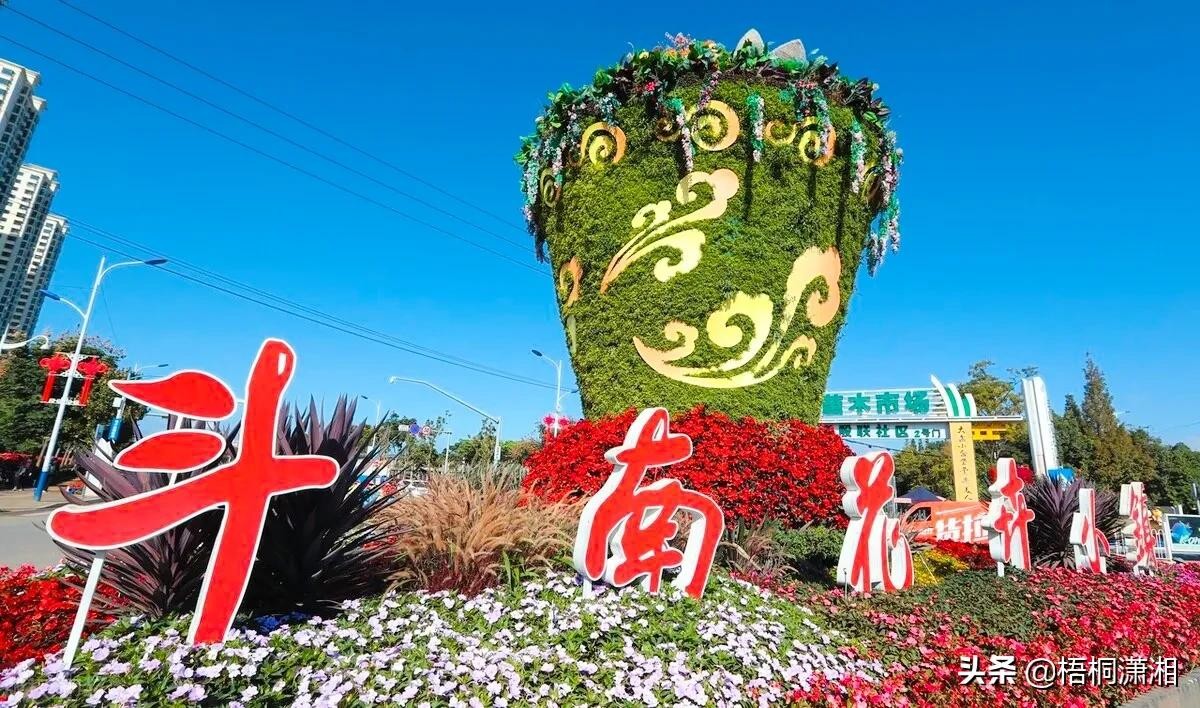 中国最大的花卉批发市场在哪里（国内10大花卉市场）