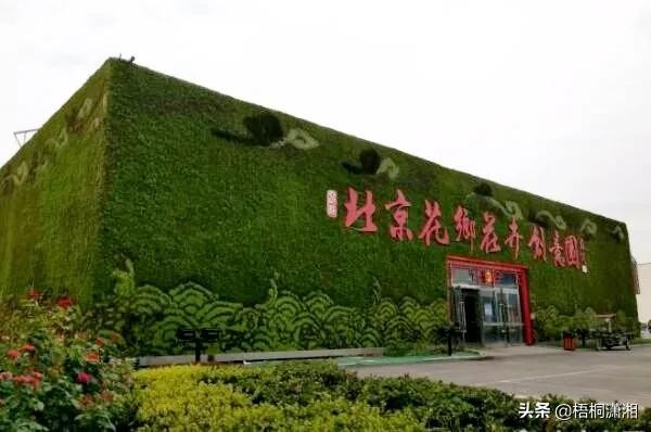 中国最大的花卉批发市场在哪里（国内10大花卉市场）
