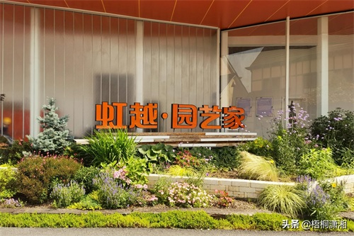 中国最大的花卉批发市场在哪里（国内10大花卉市场）