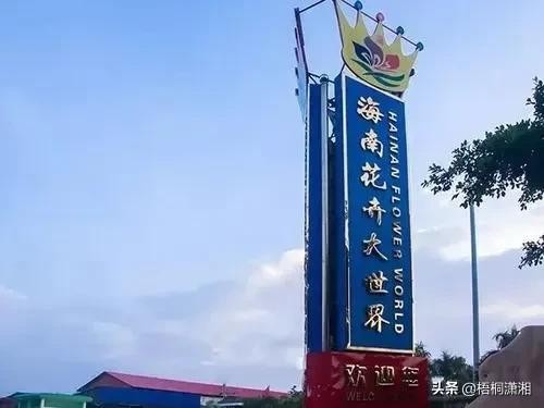 中国最大的花卉批发市场在哪里（国内10大花卉市场）