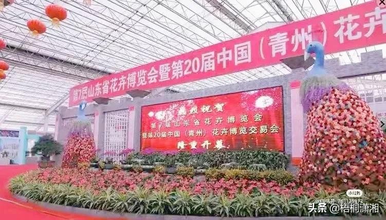 中国最大的花卉批发市场在哪里（国内10大花卉市场）