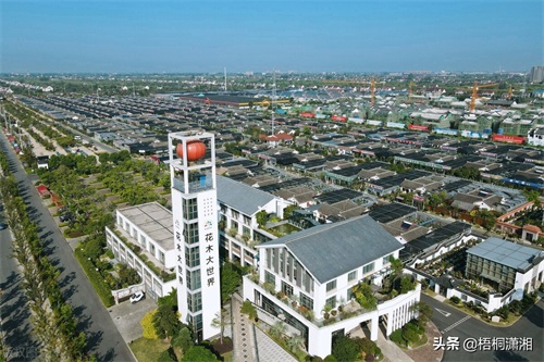 中国最大的花卉批发市场在哪里（国内10大花卉市场）