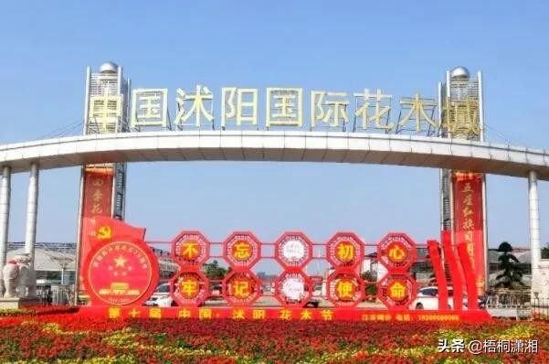 中国最大的花卉批发市场在哪里（国内10大花卉市场）