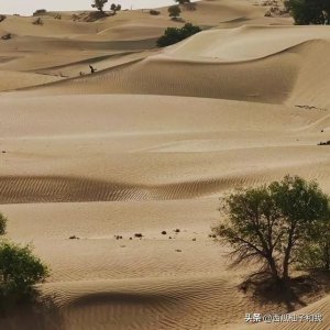 ​油田人家酒印象2号52度价格(油田人家印象东营42度酒价格)
