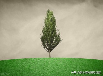 ​每日睡前胎教故事+唐诗三百首大全免费阅读之279