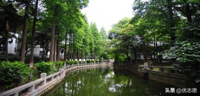 ​上海科学技术职业学院深度分析来啦，想考大专的同学可以了解