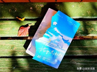 ​明开夜合的都市言情力作《落雪满南山》温馨成长型爱情甜文