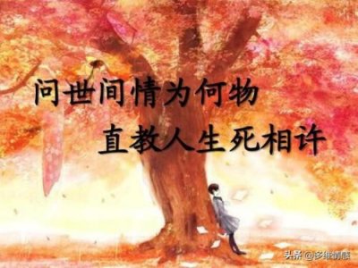 ​一厢情愿的爱情有必要吗，为什么说一厢情愿爱一个人很蠢