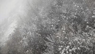 ​多地出现降雪