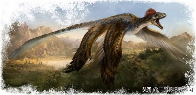 ​恐龙世界（6）空中滑翔，小盗龙