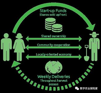 ​社区支持农业(CSA)：重新连接人与食品和土地的纽带
