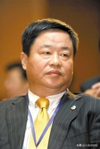 ​做过多家央企董事长的宁高宁，平安退休，为何不少人觉得奇怪？