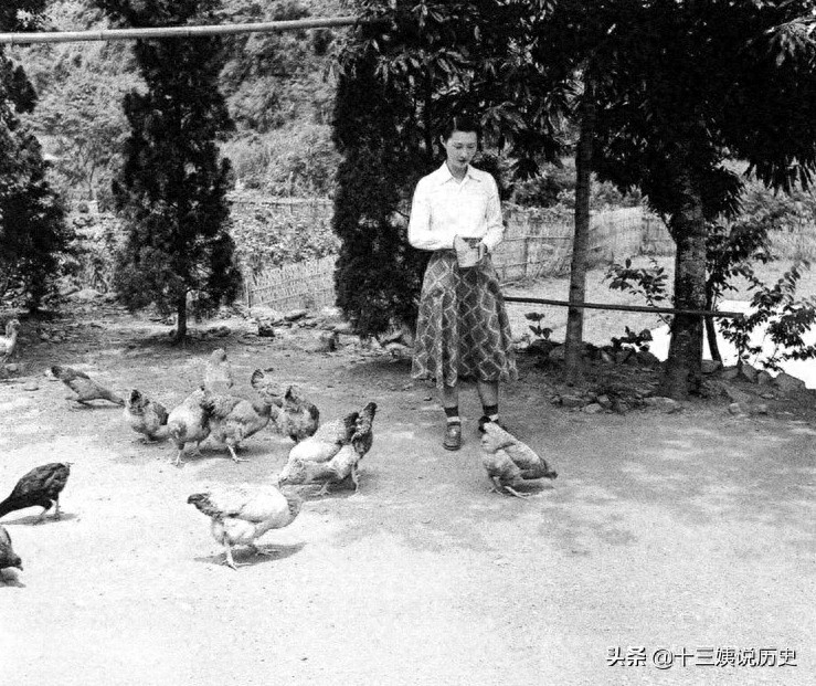 赵一荻私房照:陪伴张学良达72年,晚年有个遗憾,图7是两人儿子
