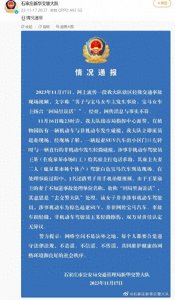 ​石家庄发生宝马女车主事故后扬言“回局里说话”事件警方进行通报