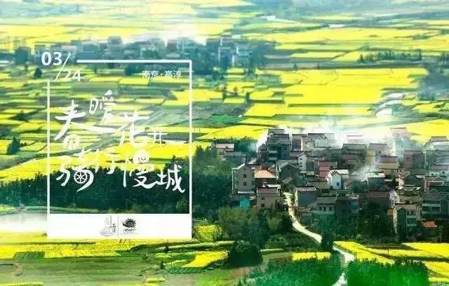 高淳桠溪:慢城有个“慢镇”,生生慢成了“空城”!