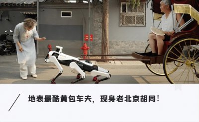 ​硬核的北京胡同大爷，已经用「狗」玩起「无人驾驶」了