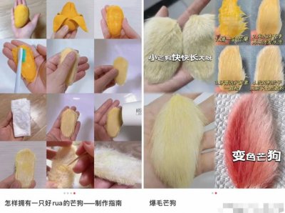 ​从几十元到上万元，这种解压玩具俘获年轻人的心？专家提醒→