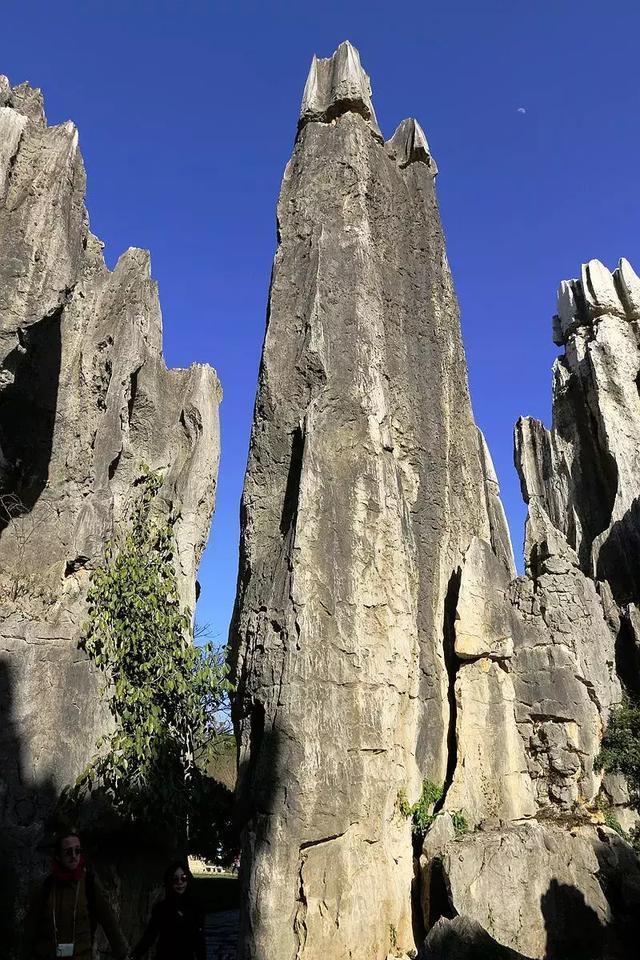 昆明一座最适合宜居的城市，你一定要来