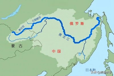 ​达氏鳇鱼的别称(达氏鳇鱼和中华鲟区别)